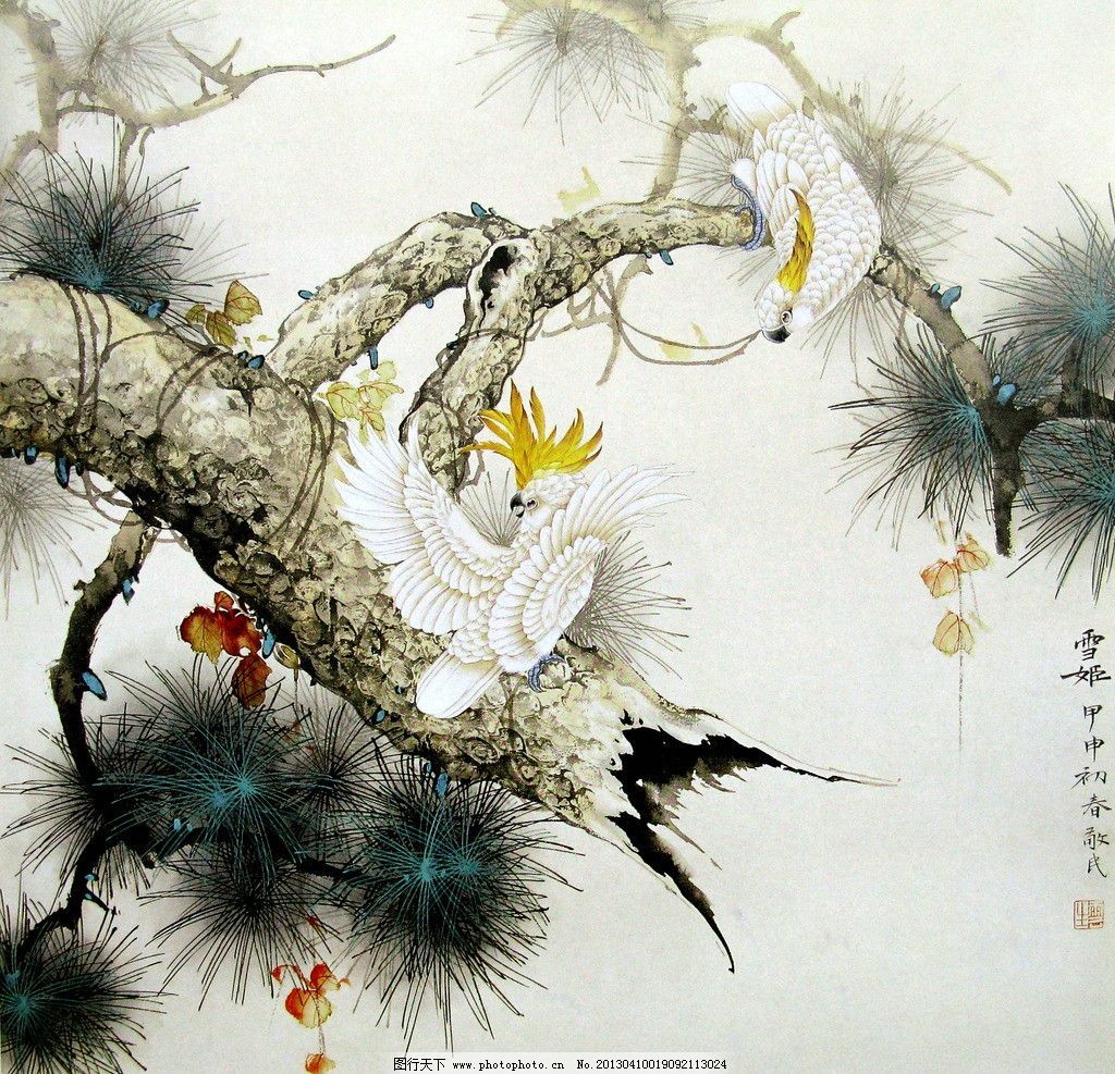 雪姬 美术 中国画 工笔画 白鹦鹉 松树 国画艺术 国画集88 绘画书法