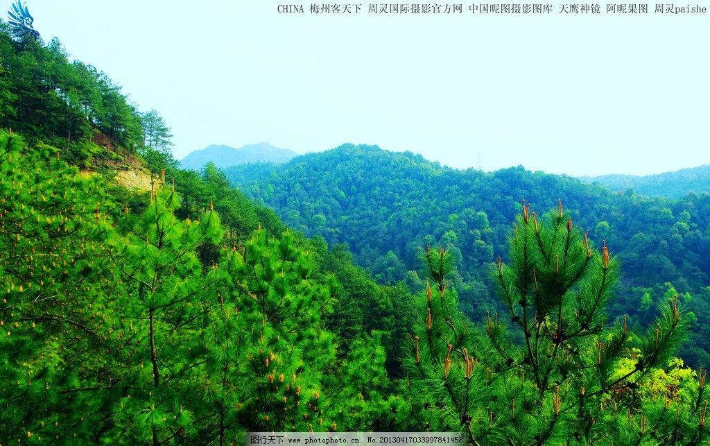 梅县客天下绿色满天下图片