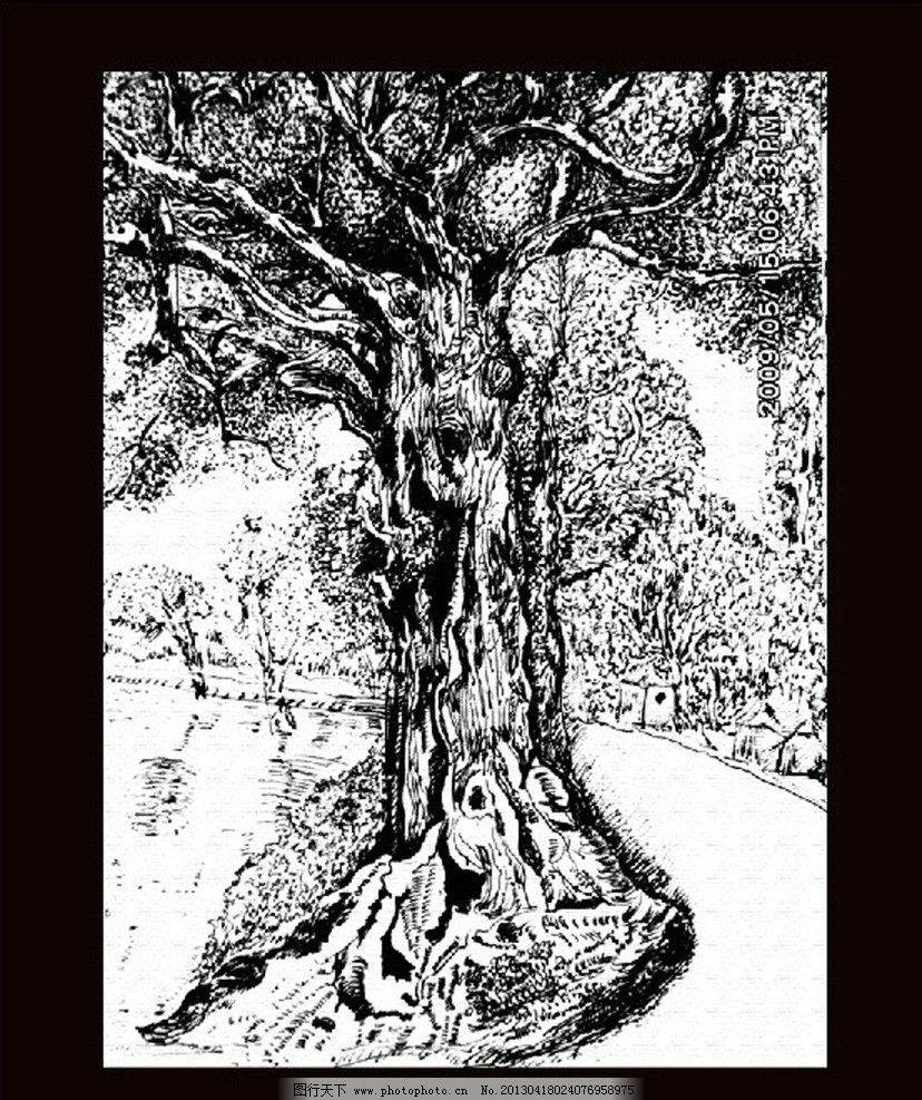 手绘素描树木图片