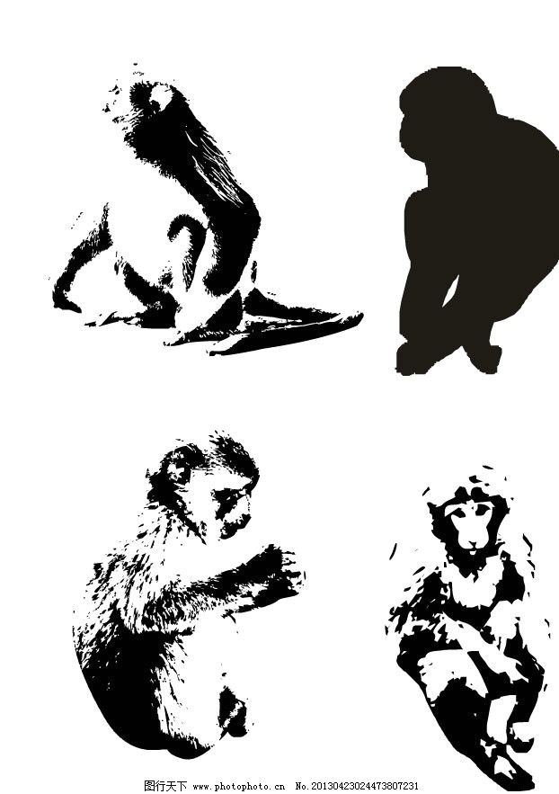 猴子 猴 猴子剪影 猴剪影 动物剪影 哺乳动物 猴子黑白画 金丝猴 手绘画 插画设计 可爱 生肖 野生动物 生物世界 矢量 EPS