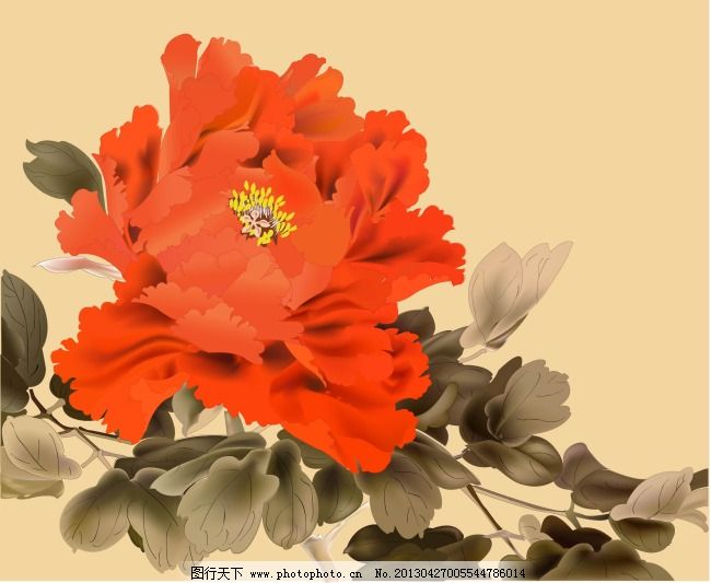 国画牡丹花矢量图