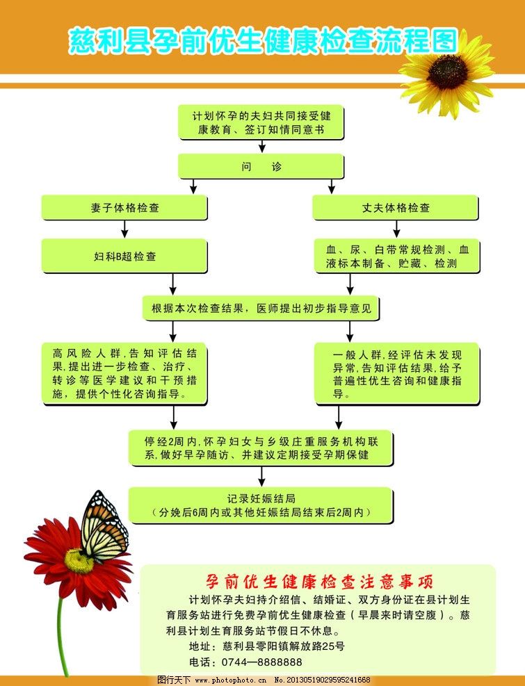 计生站宣传单页图片,体检流程 流程图 优生优育