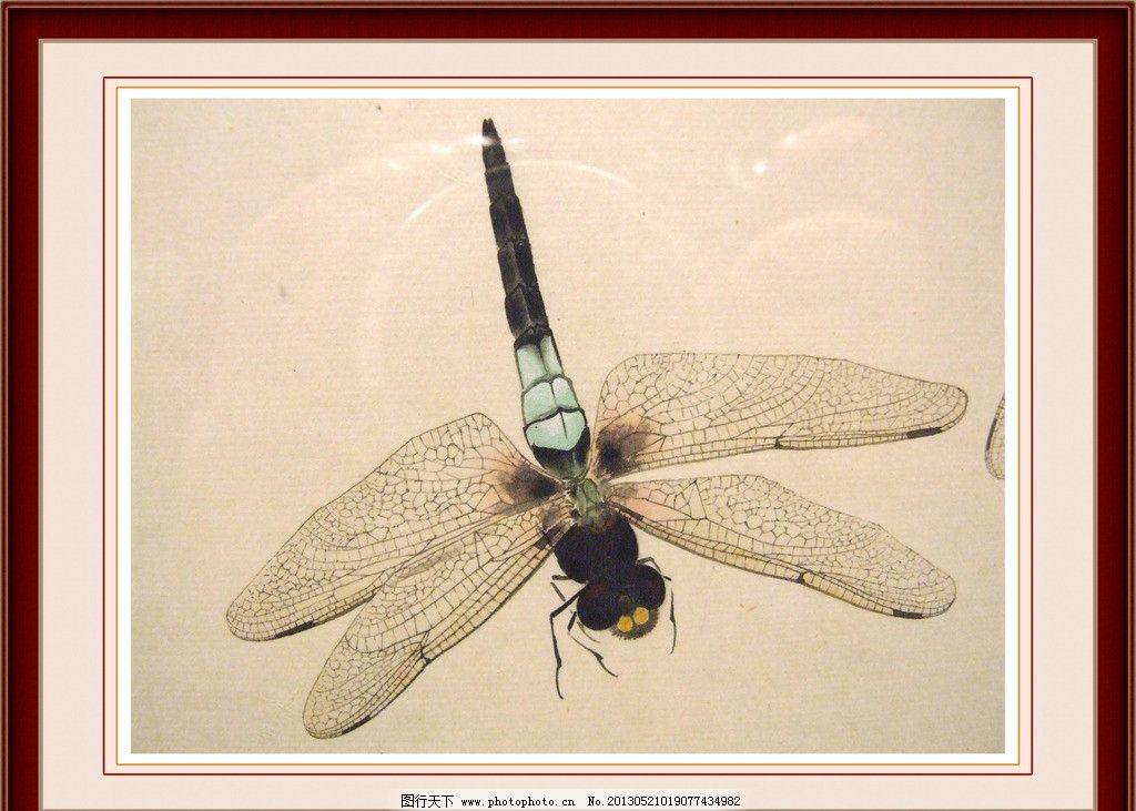 蜻蜓 工笔画图片