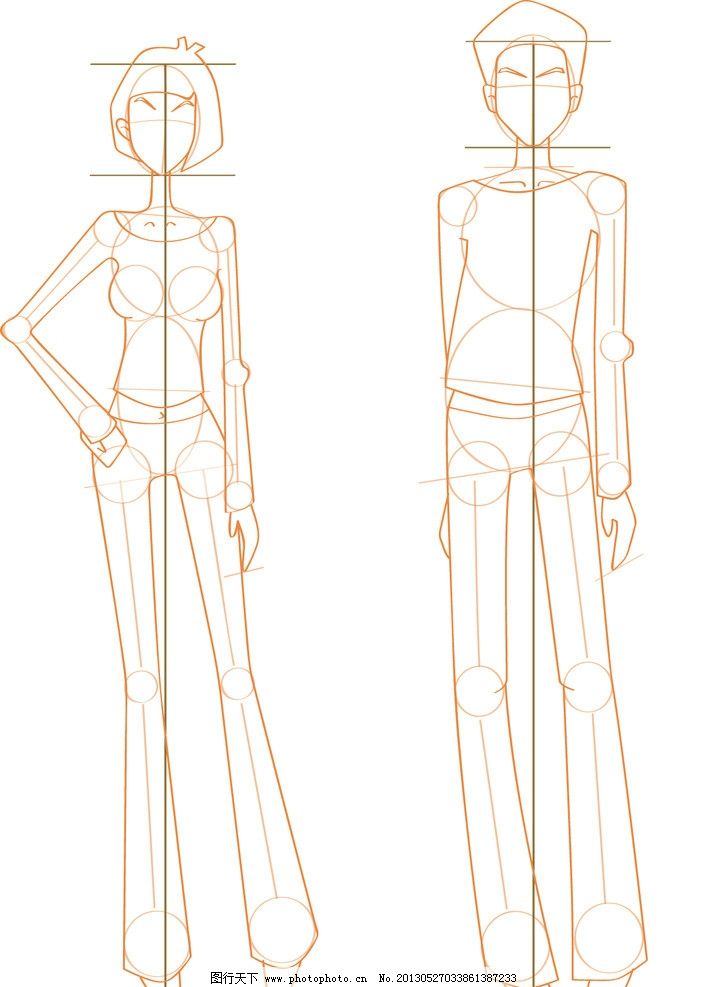 人体结构图图片