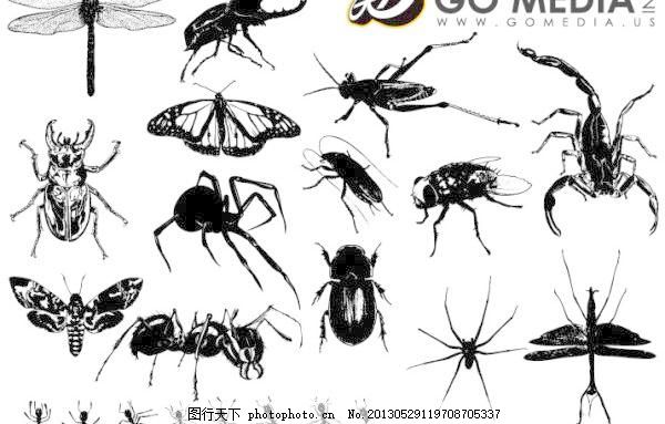 GoMedia出品矢量素材的昆虫,材料 载体 白色-