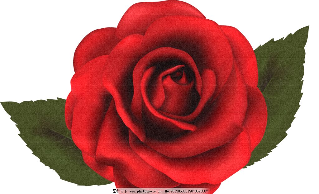 红色的花简笔画