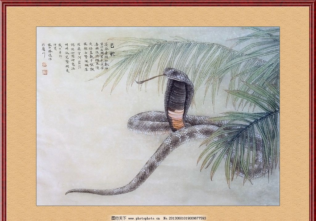 工笔画蛇图片
