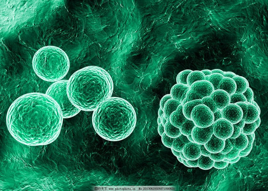 sars病毒怎么引起_病毒和细菌是生物吗_水藻是生物吗