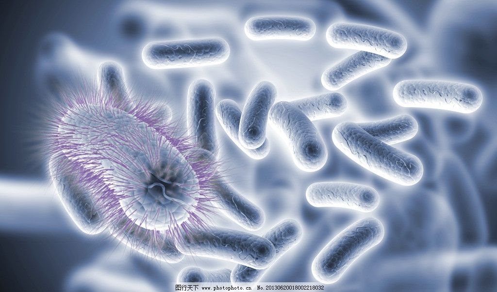 病毒 细菌 微生物图片