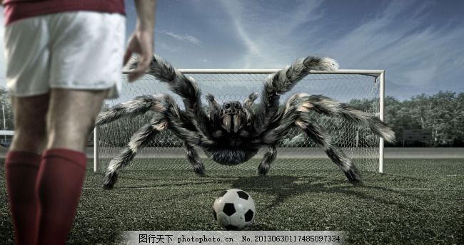 足球直播- NBA直播- 世界杯直播- 专业赛事超清直播Live全天候免费观看国足直播的方法与平台推荐