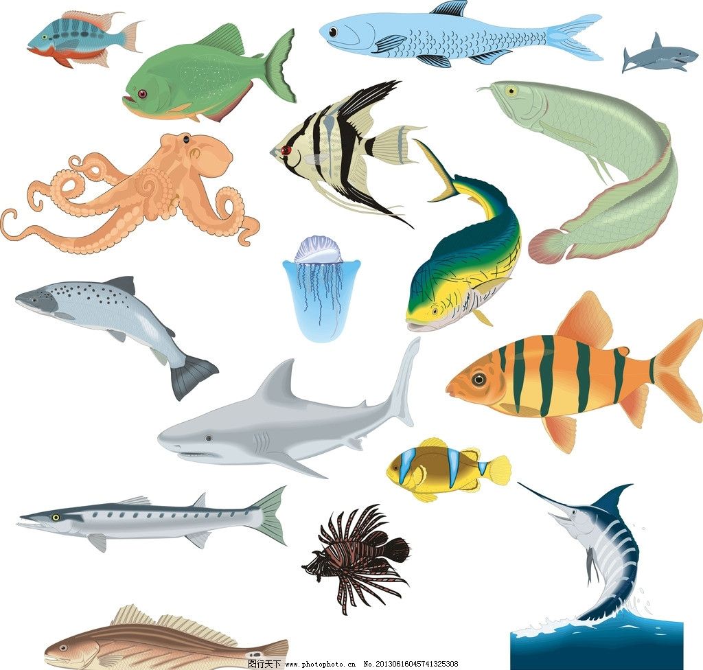 海洋鱼类图谱设计图__鱼类_生物世界_设计图库_昵图网nipic.com