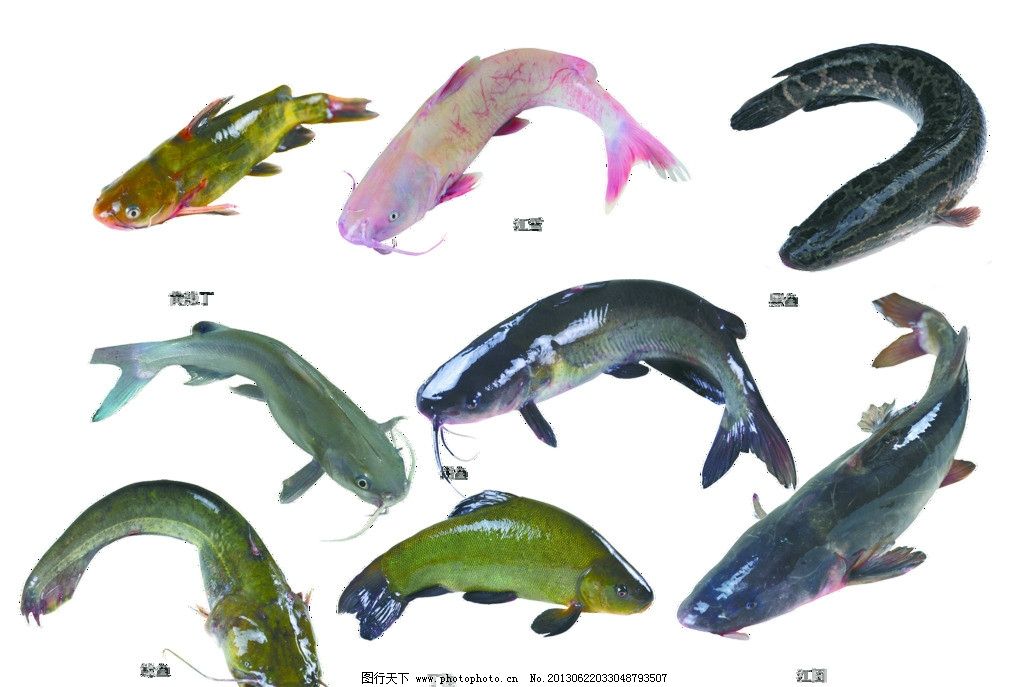 湖州青少年行为矫正学校学费多少